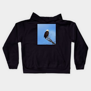 Bald Eagle Perched In a Tree In The Winter Kids Hoodie